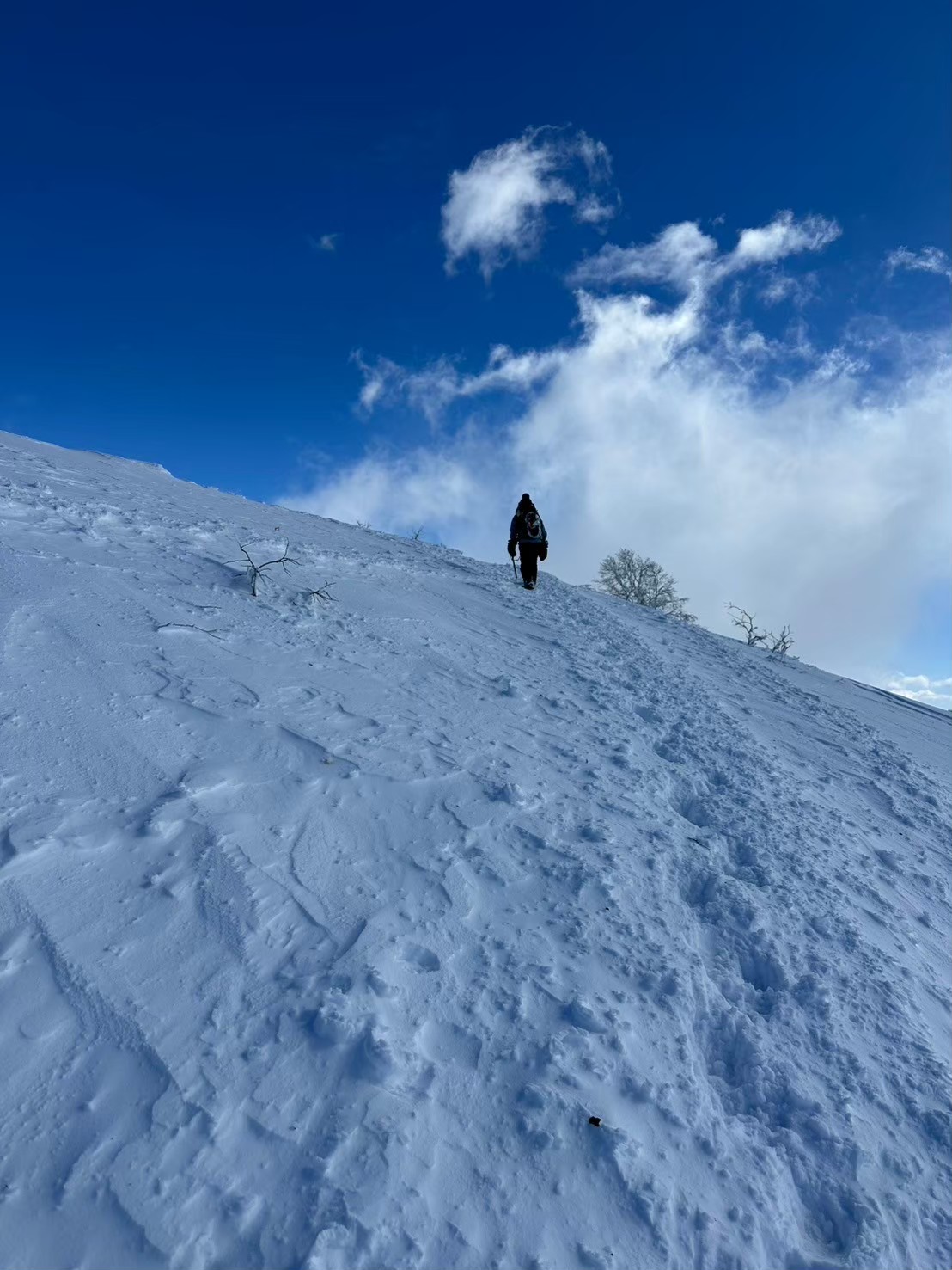 青空と雲海のコントラストが美しい中、急登を登るもおすけ