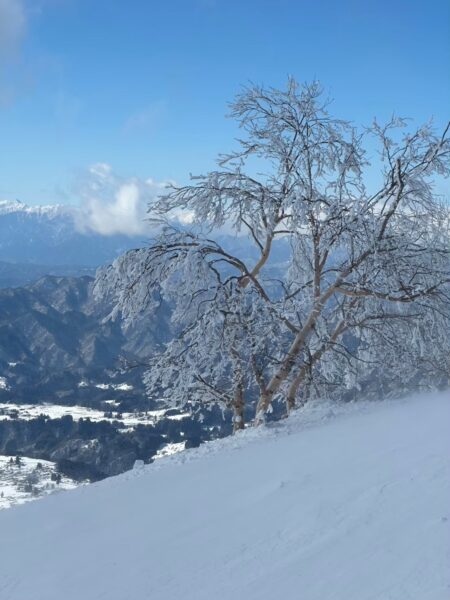 山頂手前で幻想的な風景