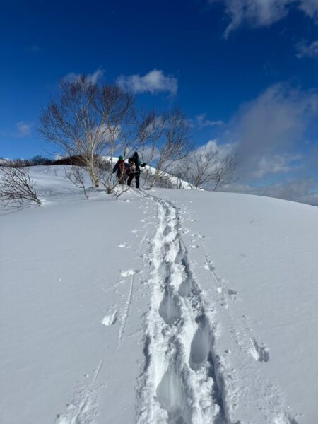 わかんの跡が続く雪原を歩くもおすけ