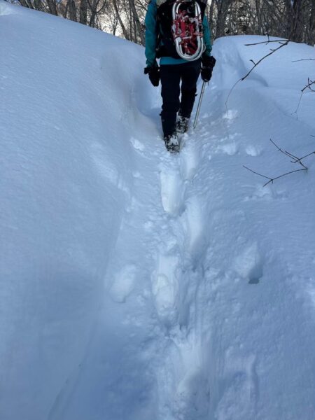 白銀の斜面を一歩ずつ登るもおすけの後ろ姿