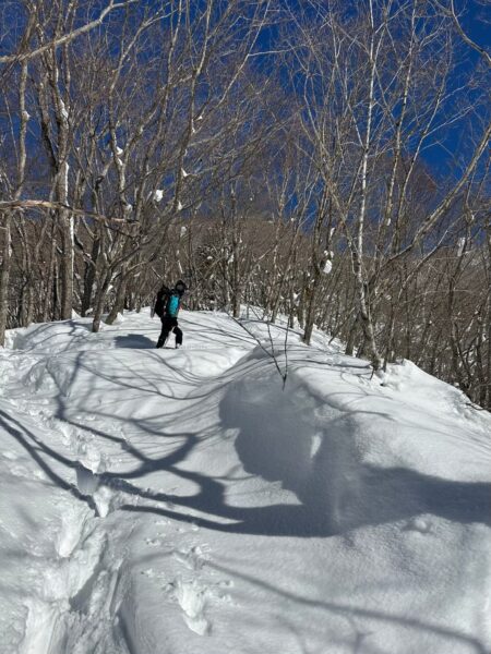 冬の飯縄山を登る途中、雪面が朝日にきらめく様子