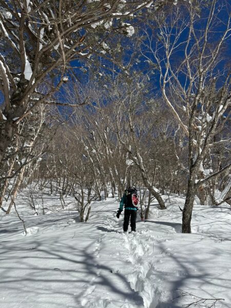 アイゼンでしっかり雪を踏みしめて進むもおすけ