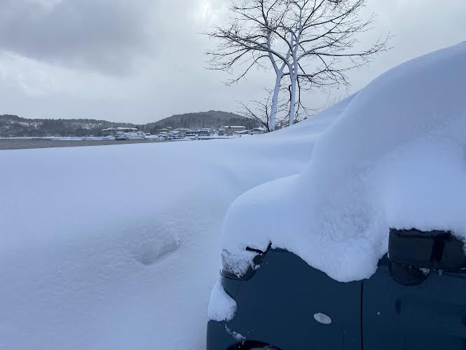 雪に覆われたもおすけの車