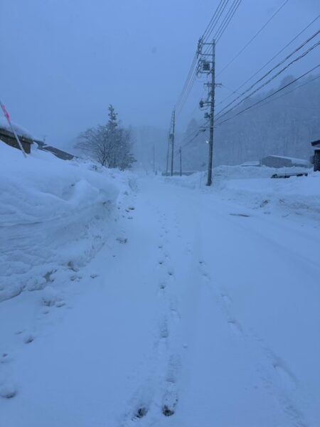 2月の野尻湖の雪景色