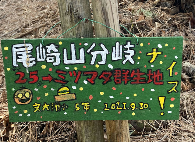 尾崎山の分岐の可愛い看板
