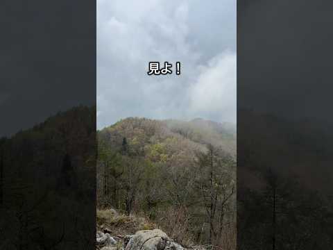 もおすけの守屋山登山ショート動画・信州移住者が登る長野の低山