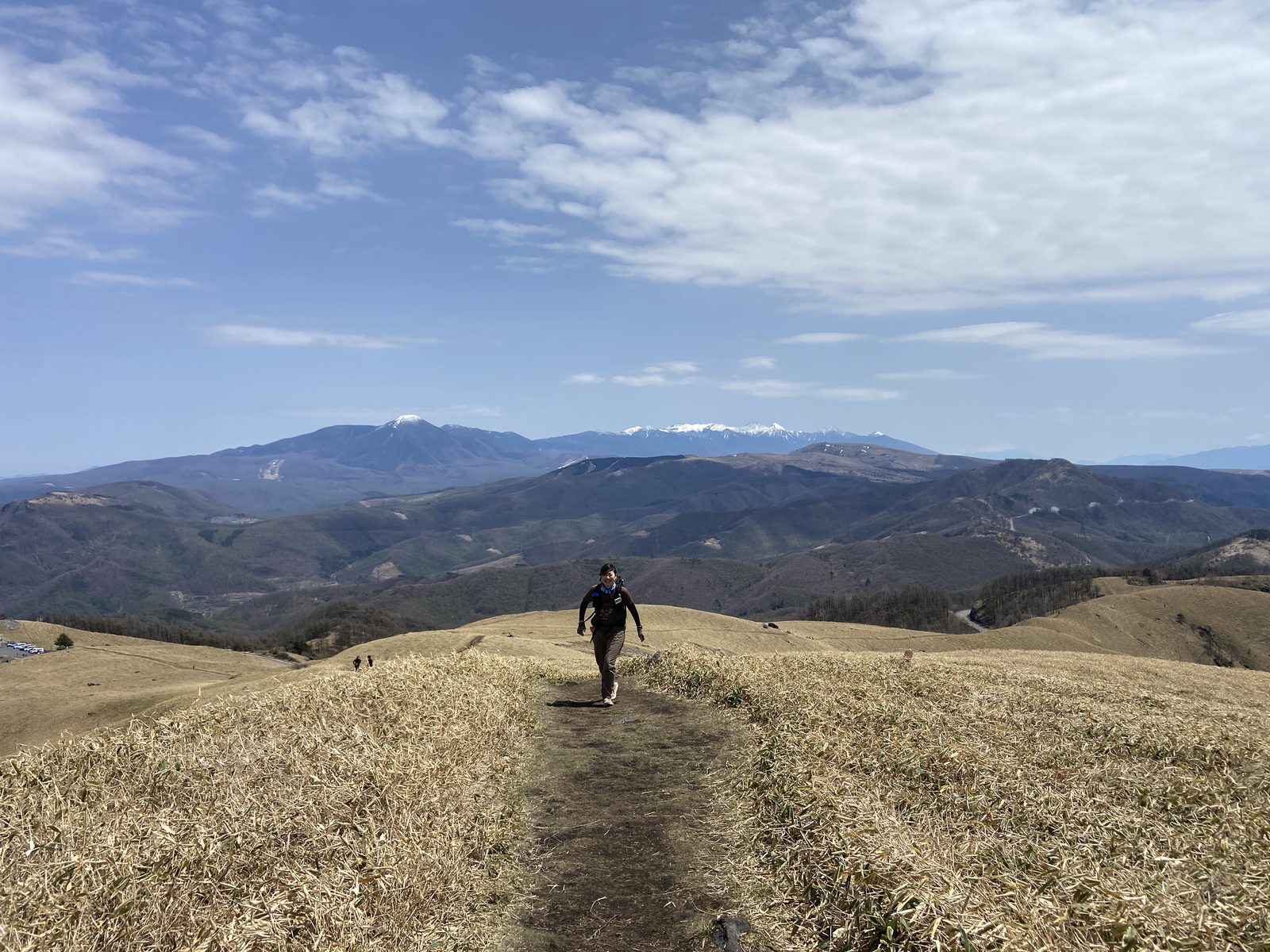 金色の草原の一本道を歩く登山者と八ヶ岳連峰の三峰山2025年春