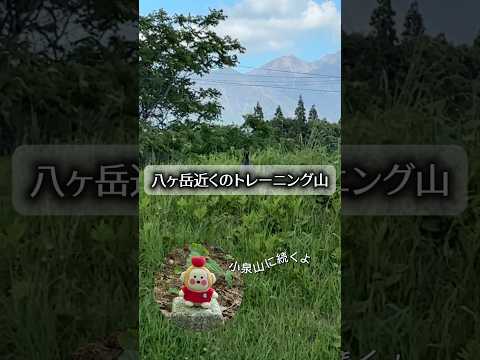 長野県茅野市の低山・大泉山を歩くもおすけの初心者向け登山ショート動画