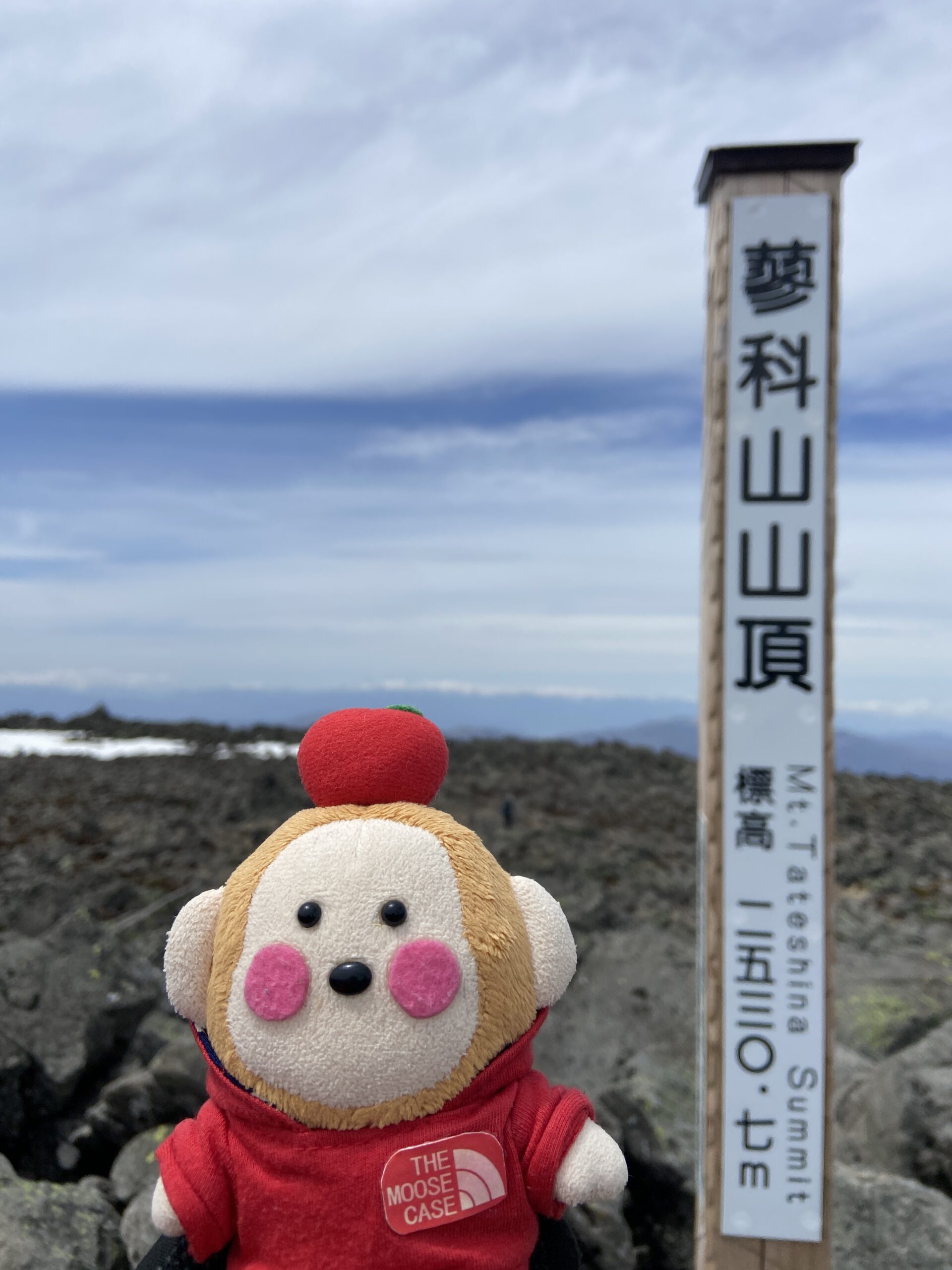 蓼科山の山頂標ともんきち先生の記念ショット